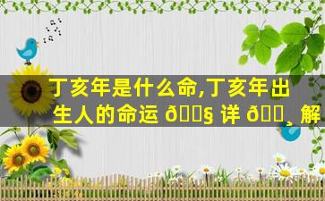丁亥年是什么命,丁亥年出生人的命运 🐧 详 🌸 解